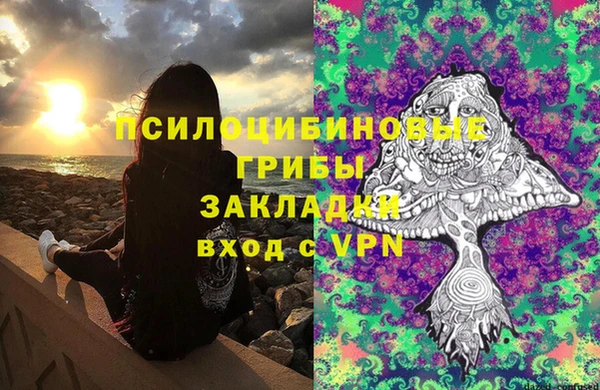 мяу мяу мука Абаза