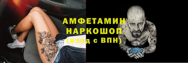 мяу мяу мука Абаза
