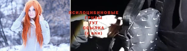 мяу мяу мука Абаза