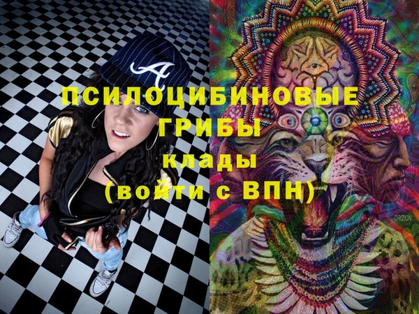 твердый Абинск