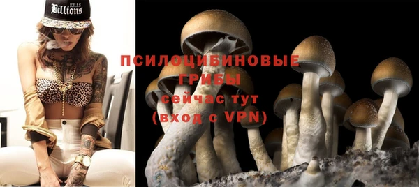 твердый Абинск